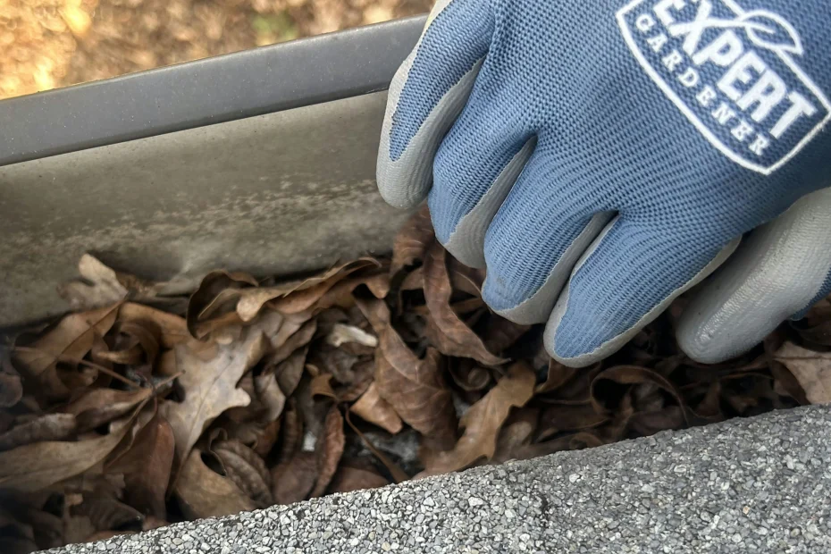 Gutter Cleaning Stanley